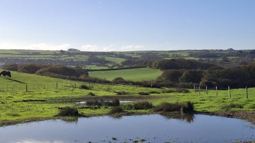 Pond full of water set amidst farmland.